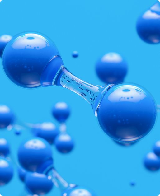 About gallery Scientific advice